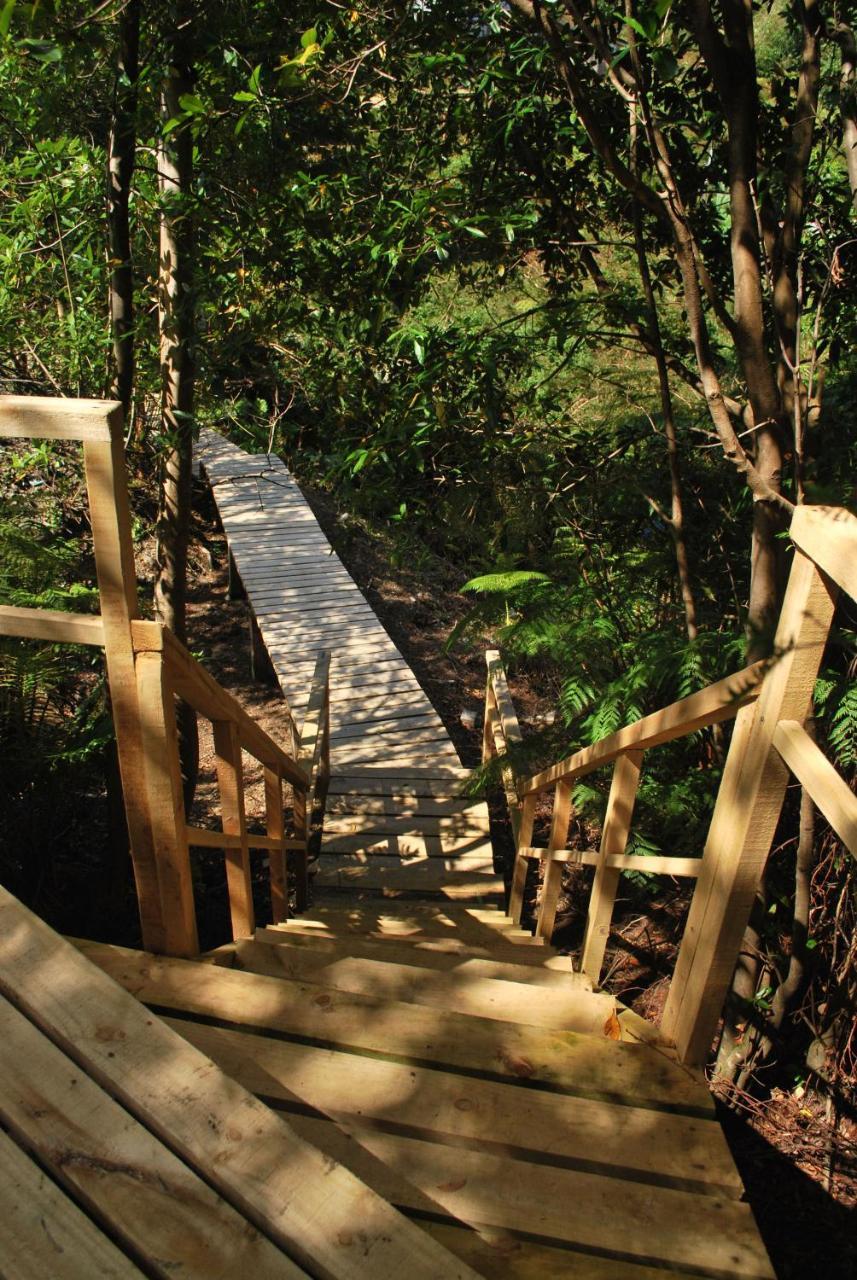 Chucao Bosque Y Cabanas Chaitén 외부 사진